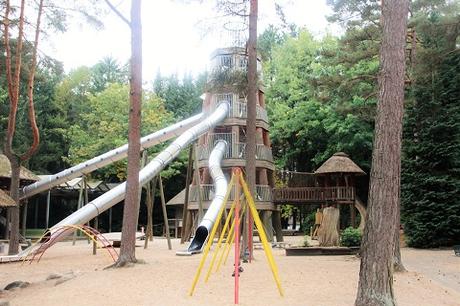 Auf Tuchfühlung mit Pinguinen und Loris – unser Herbsttag im Weltvogelpark Walsrode Auf Tuchfühlung mit Pinguinen und Loris – unser Herbsttag im Weltvogelpark Walsrode