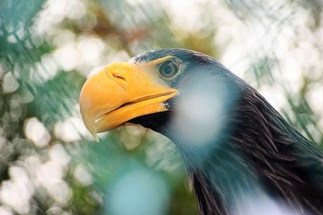 Auf Tuchfühlung mit Pinguinen und Loris – unser Herbsttag im Weltvogelpark Walsrode Auf Tuchfühlung mit Pinguinen und Loris – unser Herbsttag im Weltvogelpark Walsrode