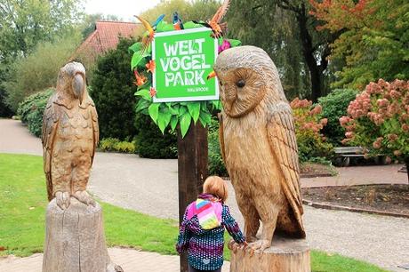 Auf Tuchfühlung mit Pinguinen und Loris – unser Herbsttag im Weltvogelpark Walsrode Auf Tuchfühlung mit Pinguinen und Loris – unser Herbsttag im Weltvogelpark Walsrode