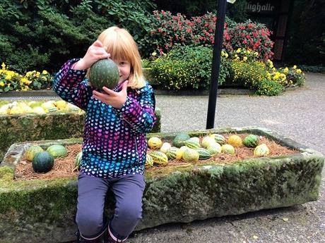 Auf Tuchfühlung mit Pinguinen und Loris – unser Herbsttag im Weltvogelpark Walsrode Auf Tuchfühlung mit Pinguinen und Loris – unser Herbsttag im Weltvogelpark Walsrode