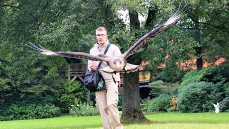 Auf Tuchfühlung mit Pinguinen und Loris – unser Herbsttag im Weltvogelpark Walsrode Auf Tuchfühlung mit Pinguinen und Loris – unser Herbsttag im Weltvogelpark Walsrode