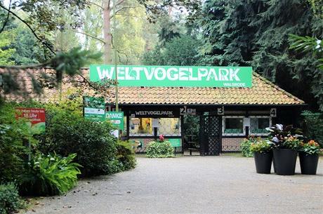 Auf Tuchfühlung mit Pinguinen und Loris – unser Herbsttag im Weltvogelpark Walsrode Auf Tuchfühlung mit Pinguinen und Loris – unser Herbsttag im Weltvogelpark Walsrode