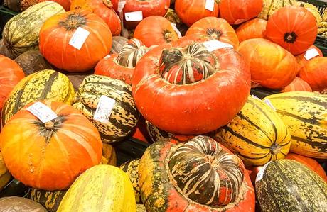 Kuriose Feiertage - 26. Oktober - Tag des Kürbis in den USA – der amerikanische National Pumpkin Day (c) 2016 Sven Giese -3