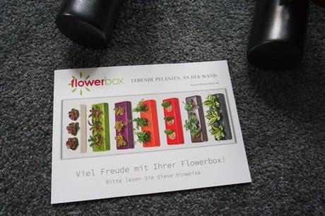 Ich habe die “ Flowerbox “ getestet