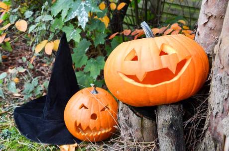 Kuriose Feiertage - 31. Oktober - Schnitze-einen-Kürbis-Tag – National Carve a Pumpkin Day in den USA (c) 2016 Mona Trautmann-1