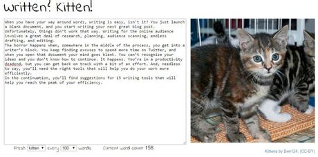 Screenshot_Written_Kitten