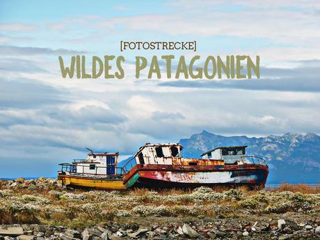 [Fotostrecke] Wildes Patagonien