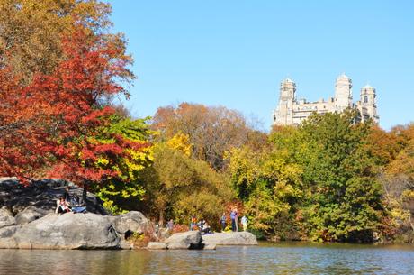 NYC Central Park Travelling Traveling Travelblogger