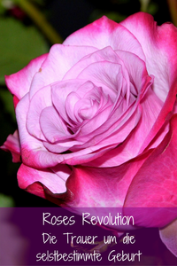 Roses Revolution und die Trauer um die selbstestimmte Geburt