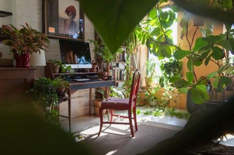 sro-indoor-jungle-desk
