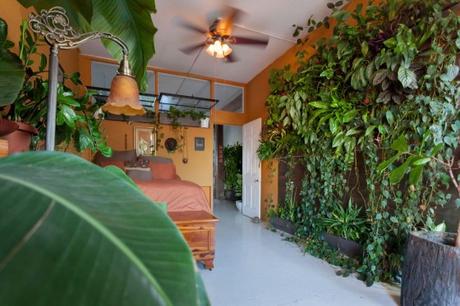 Summer Rayne Oaks - Indoor Garten