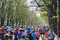 Was Trainingswettkämpfe für dein Marathontraining bedeuten