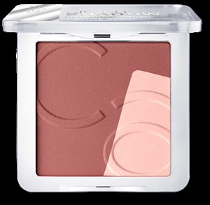 Catr_Light--Shadow-Contouring-blush_010_opend_1477492218
