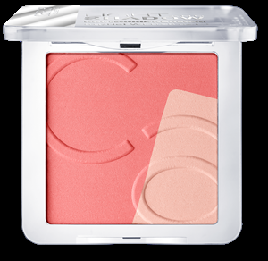Catr_Light--Shadow-Contouring-blush_020_opend_1477492297
