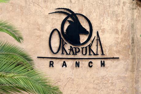 Namibia - Okapuka Ranch