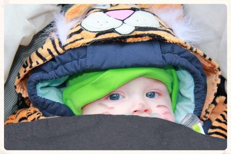 Karneval: Tigerkostüm für Babys