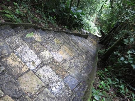 19_Treppen-im-Urwald-Maya-Ruine-Palenque-Mexiko