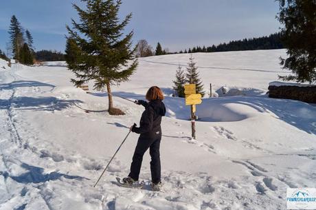 Schneeschuhwanderung Embacher Alm
