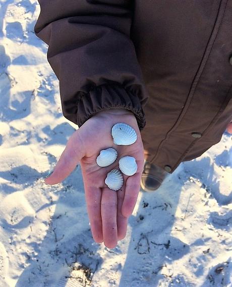 Reise // a-ja Grömitz: ein wunderschönes Winter-Wochenende an der Ostsee Reise // a-ja Grömitz: ein wunderschönes Winter-Wochenende an der Ostsee