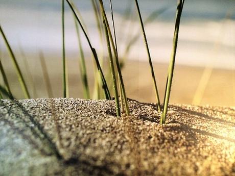 Reise // a-ja Grömitz: ein wunderschönes Winter-Wochenende an der Ostsee Reise // a-ja Grömitz: ein wunderschönes Winter-Wochenende an der Ostsee