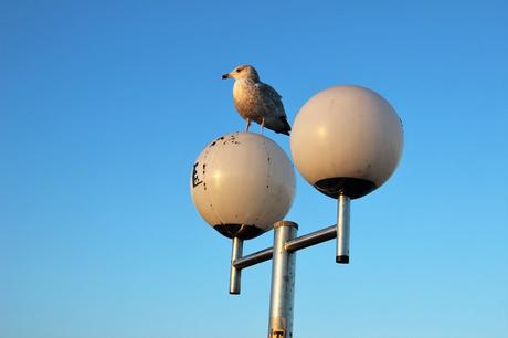 Reise // a-ja Grömitz: ein wunderschönes Winter-Wochenende an der Ostsee Reise // a-ja Grömitz: ein wunderschönes Winter-Wochenende an der Ostsee