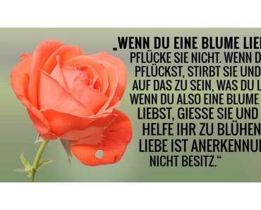 wallpaper-1689754