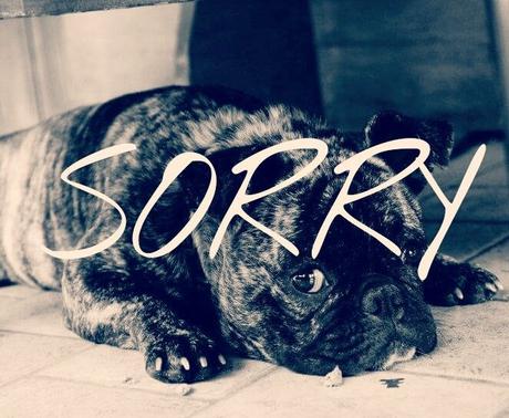 sorry, sorry, sorry