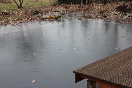 Der Teich ist zugefroren