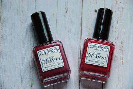 {Review} Catrice Sortimentsumstellung Frühling 2017