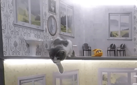 Keeping Up With The Kattarshians GIF - Find & Share on GIPHY