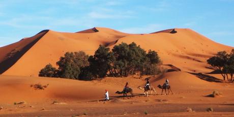 Marokko: fast ganz allein in der Sahara