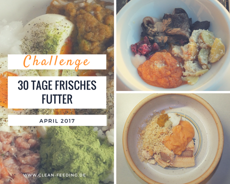 30-Tage-Frisches-Futter-Challenge