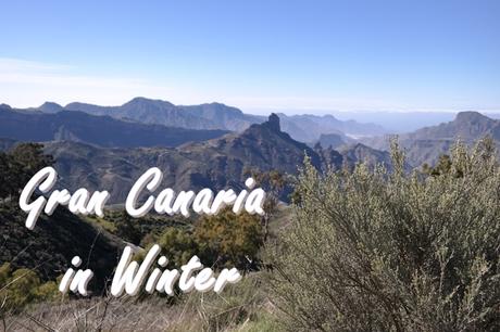 Warum ich mich in Gran Canaria verliebt habe + Video