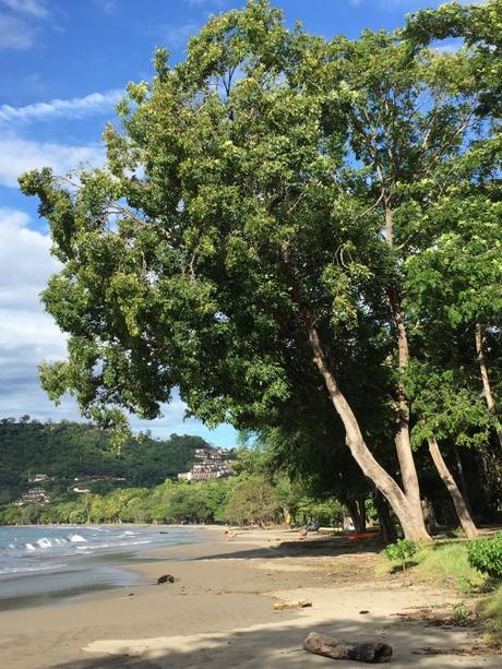 Costa Rica: Playa Hermosa