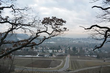 Weinberge, der Neckar, Sonne und Wein  – unser Wochenende in Heilbronn