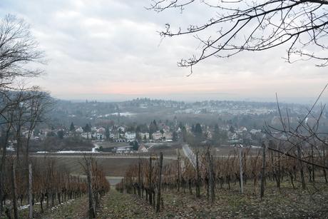 Weinberge, der Neckar, Sonne und Wein  – unser Wochenende in Heilbronn