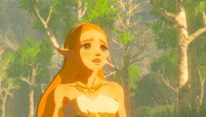 The-Legend-of-Zelda-Breath-of-the-Wild-(c)-2017-Nintendo-(3)