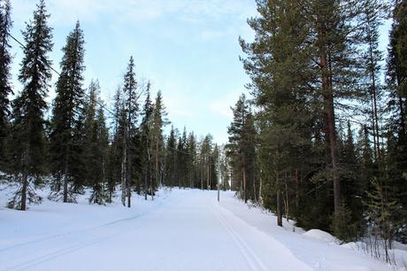 Lappland: Abenteuer im Schnee Lappland: Abenteuer im Schnee