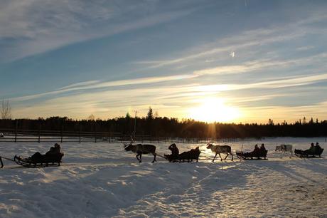 Lappland: Abenteuer im Schnee Lappland: Abenteuer im Schnee