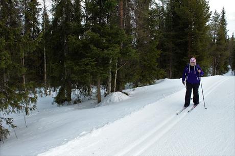Lappland: Abenteuer im Schnee Lappland: Abenteuer im Schnee