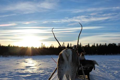 Lappland: Abenteuer im Schnee Lappland: Abenteuer im Schnee