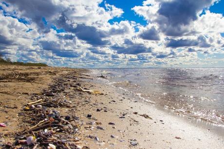 Plastikabfall im Meer – wie schlimm ist es wirklich?