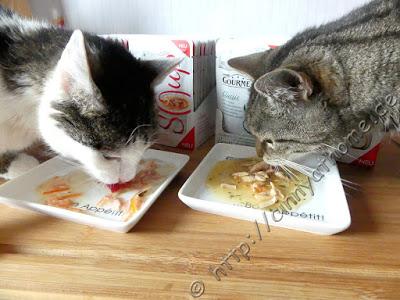 GOURMET Soup für die kleinen Feinschmecker #GratisTesten #Katzen #Gewinnspiel