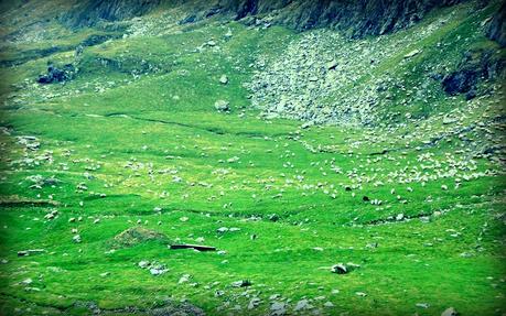 Rumänien: Transfăgărăşan - die schönste Straße der Welt Rumänien: Transfăgărăşan - die schönste Straße der Welt