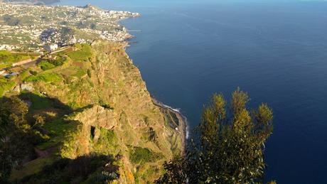 HALB-ZEIT auf Madeira