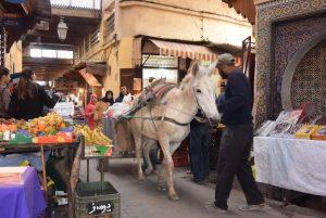 Feinster Wohn- und Kochgenuss in Fez (Marokko): Merhaba im Riad Anata