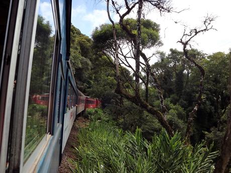 Serra Verde Express | Eine traumhafte Zugfahrt von Curitiba nach Morretes im Süden Brasiliens