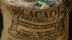 Label auf einem Sack für Criollo-Kakaobohnen