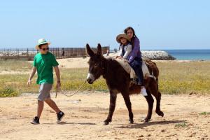 Algarve grüner und blauer: Natur-, Fahrrad- und Boots-Tourismus im Visier