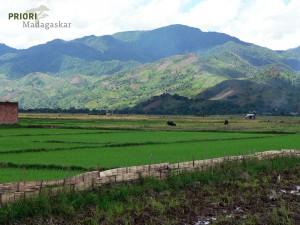 Region SAVA: Madagaskar SAVA Andapa Felder Reis 